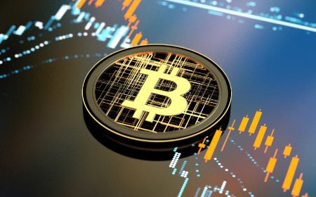 Bitcoin ETF Dilemma: Own the Metal or the Paper? Weighing the Pros and Cons of ETFs